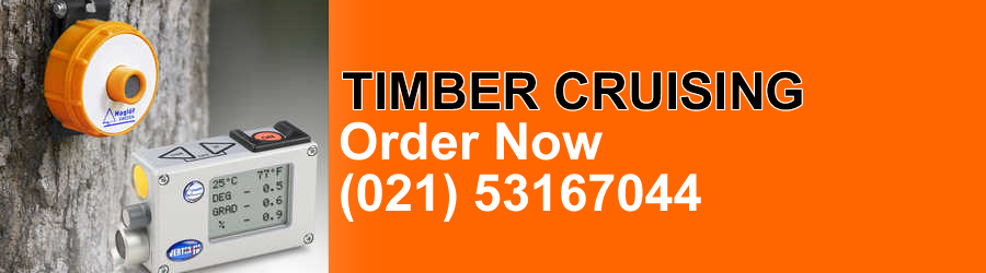Timber Cruising