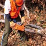 Sawbuck Four-Ply Para-Aramid Standard Coverage Chain Saw Chaps, 32 Inch Waist Sizes, Green